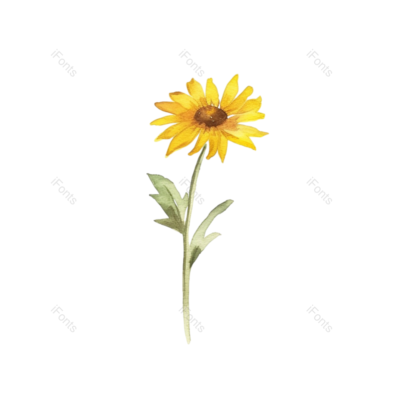 装饰图片,向日葵手绘元素,花卉PNG,花草免抠素材